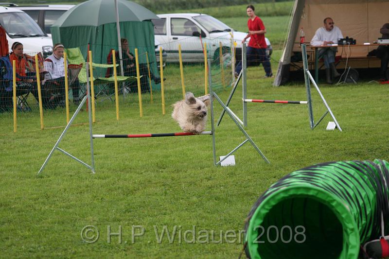 jubil.lusten. 041.jpg